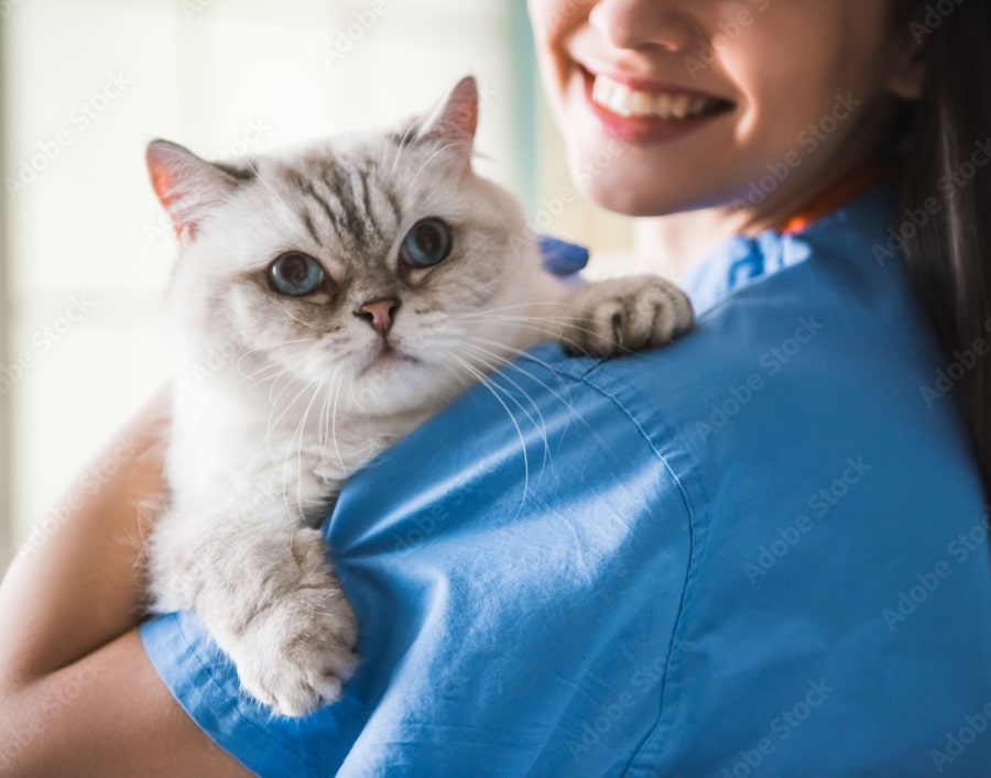 Veterinarian holding a white cat