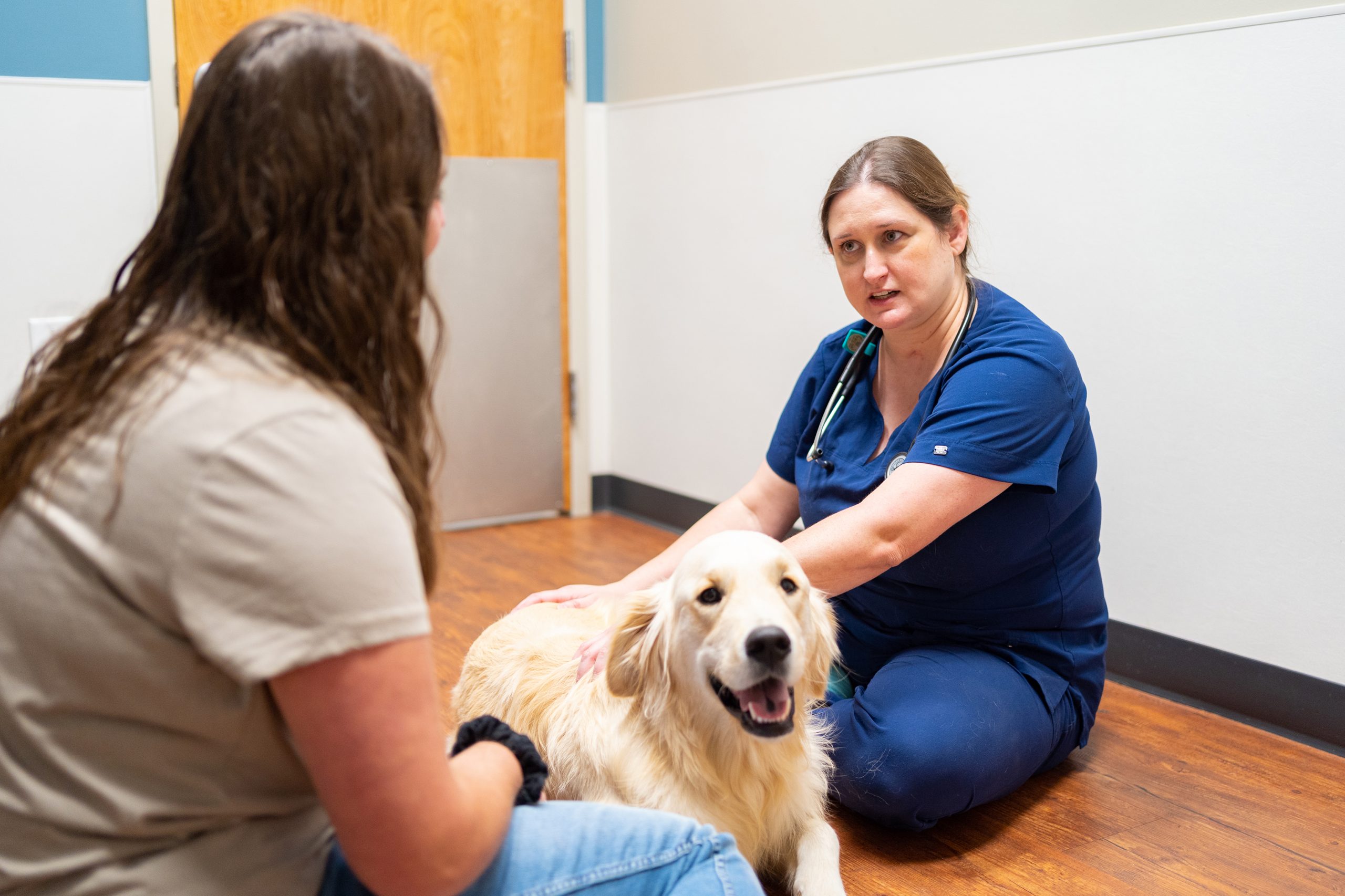 Veterinarian consulting with patient in exam room