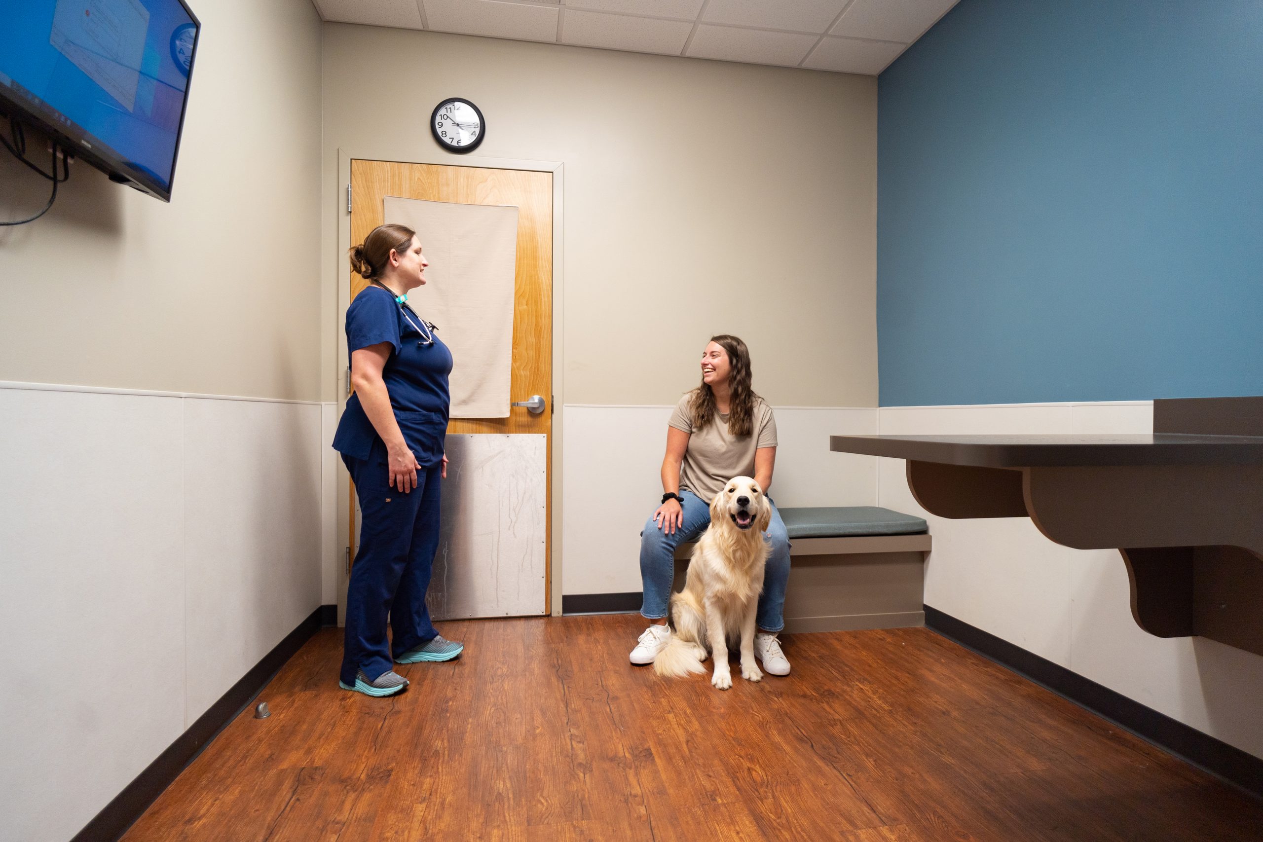 Veterinarian consulting with patient and her golden retriever